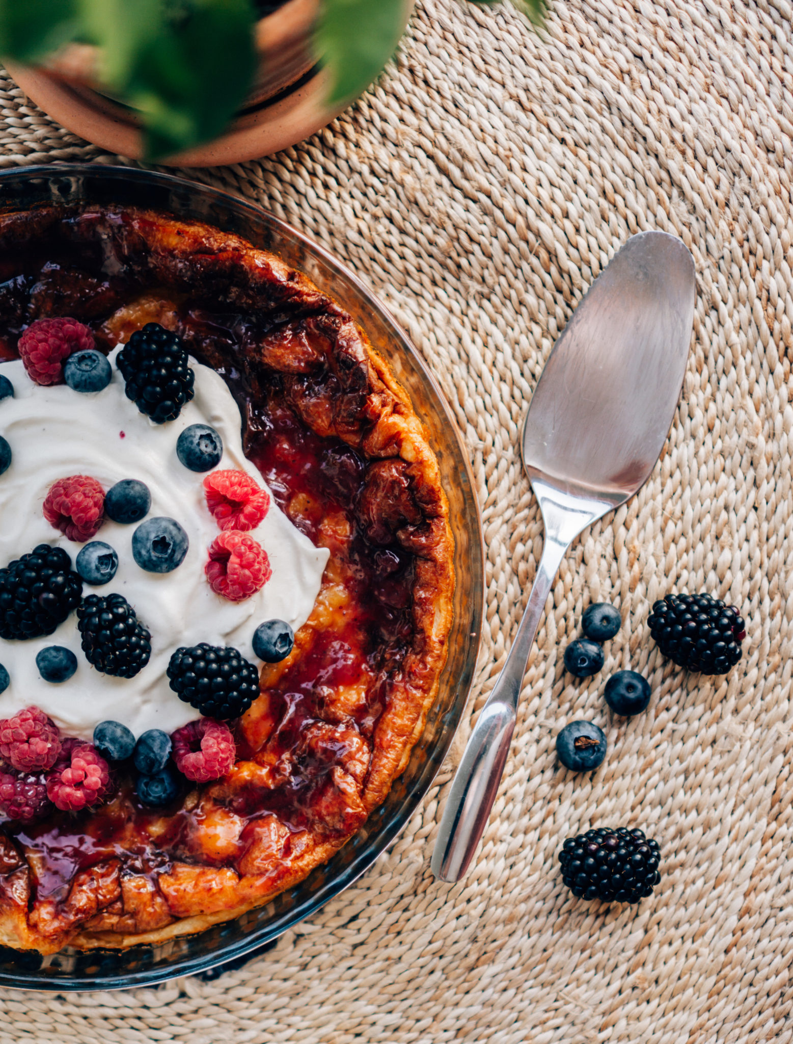 Maailman paras pannari